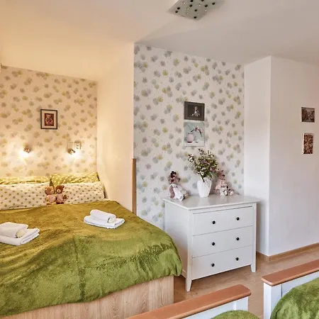 Apartment U Medvidka 卡罗维发利 外观 照片