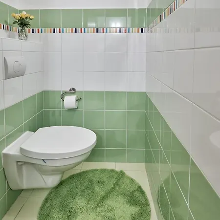 Apartment U Medvidka 卡罗维发利 外观 照片